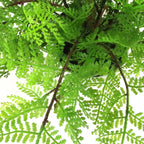 Artificial Fern Plant 30cm Botanical Fern 30cm Display-4