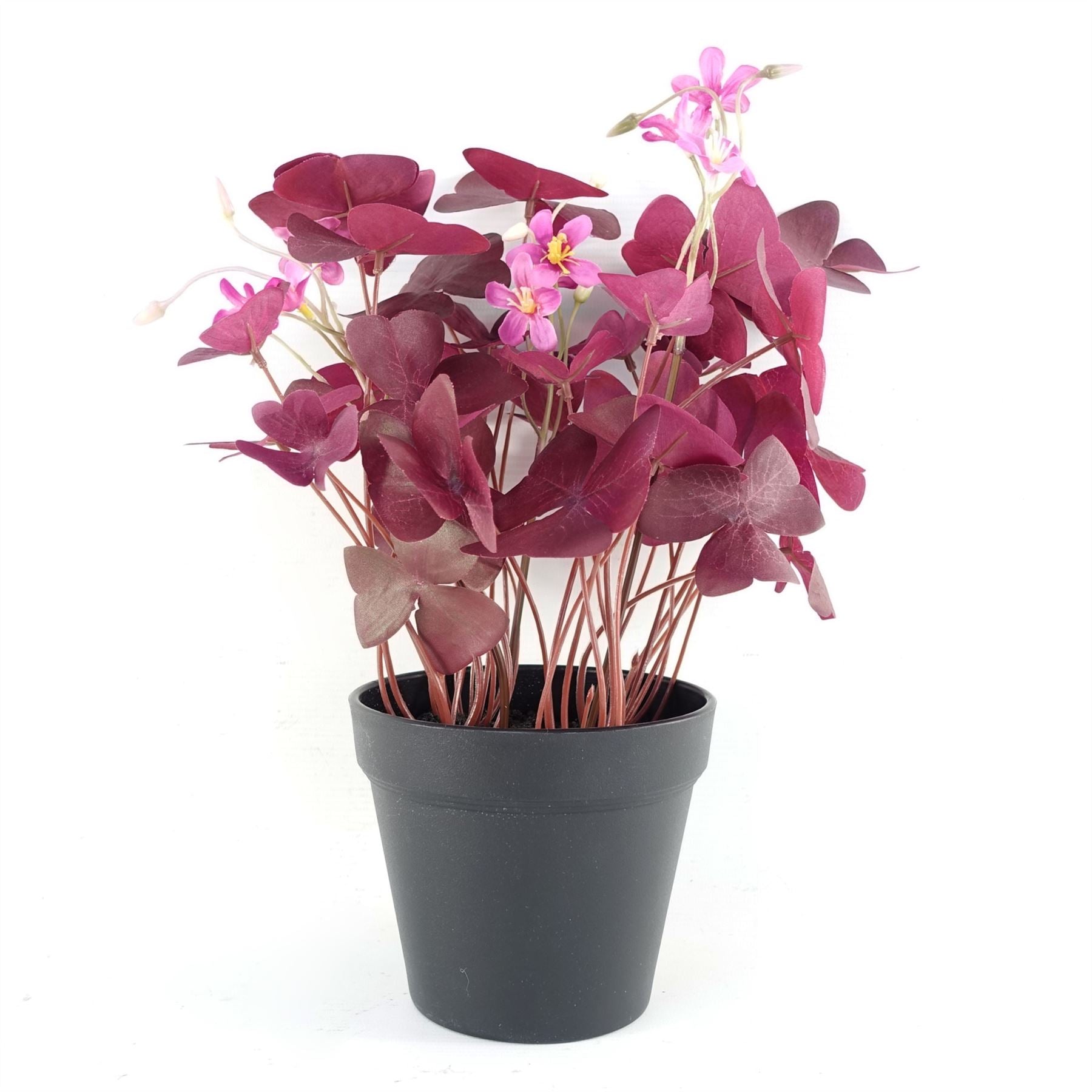 Artificial Plant Purple Shamrock Pink Flowers-0