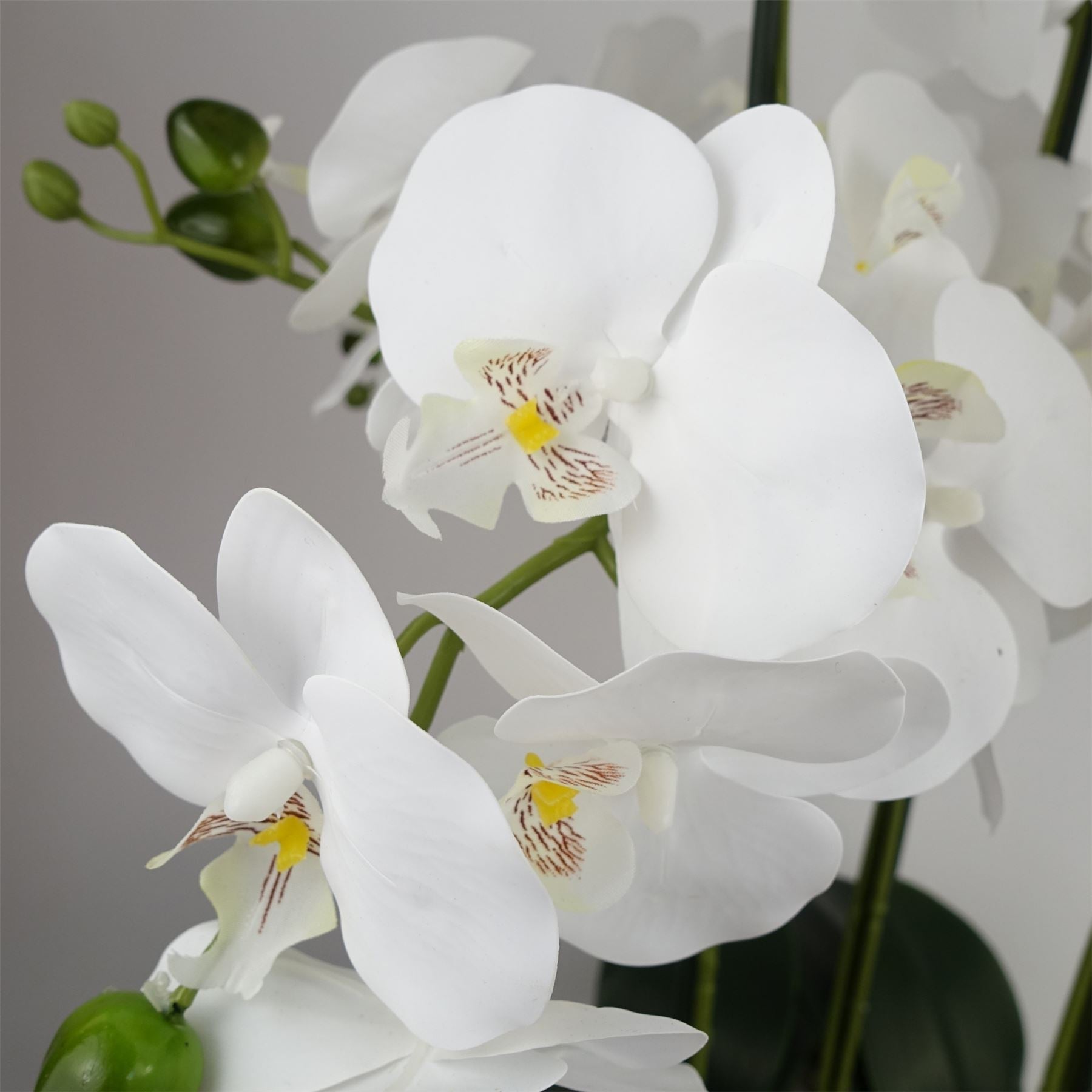 Orchid White - Gold Ceramic Planter-1
