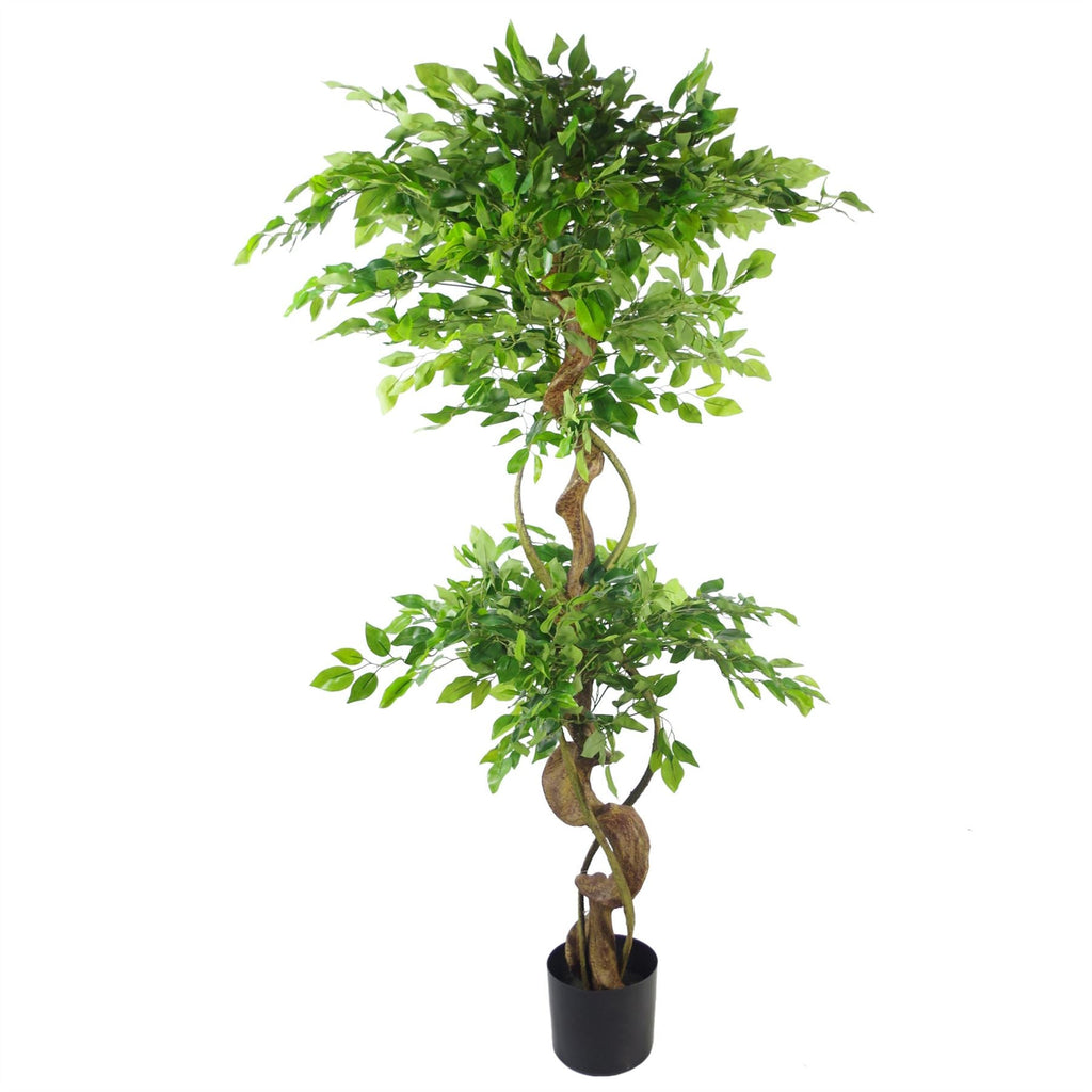Artificial Japanese Fruticosa Tree Twisted Ficus 150cm UK-1