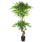 Artificial Japanese Fruticosa Tree Twisted Ficus 150cm UK-1