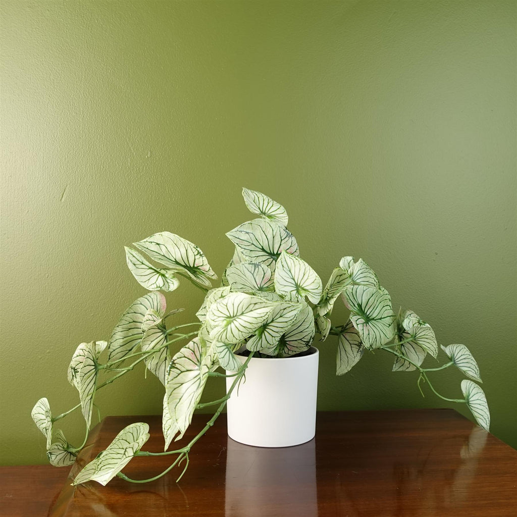 30cm Artificial Trailing Plant Variegated Alocasia-0