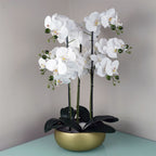 Orchid White - Gold Ceramic Planter-0
