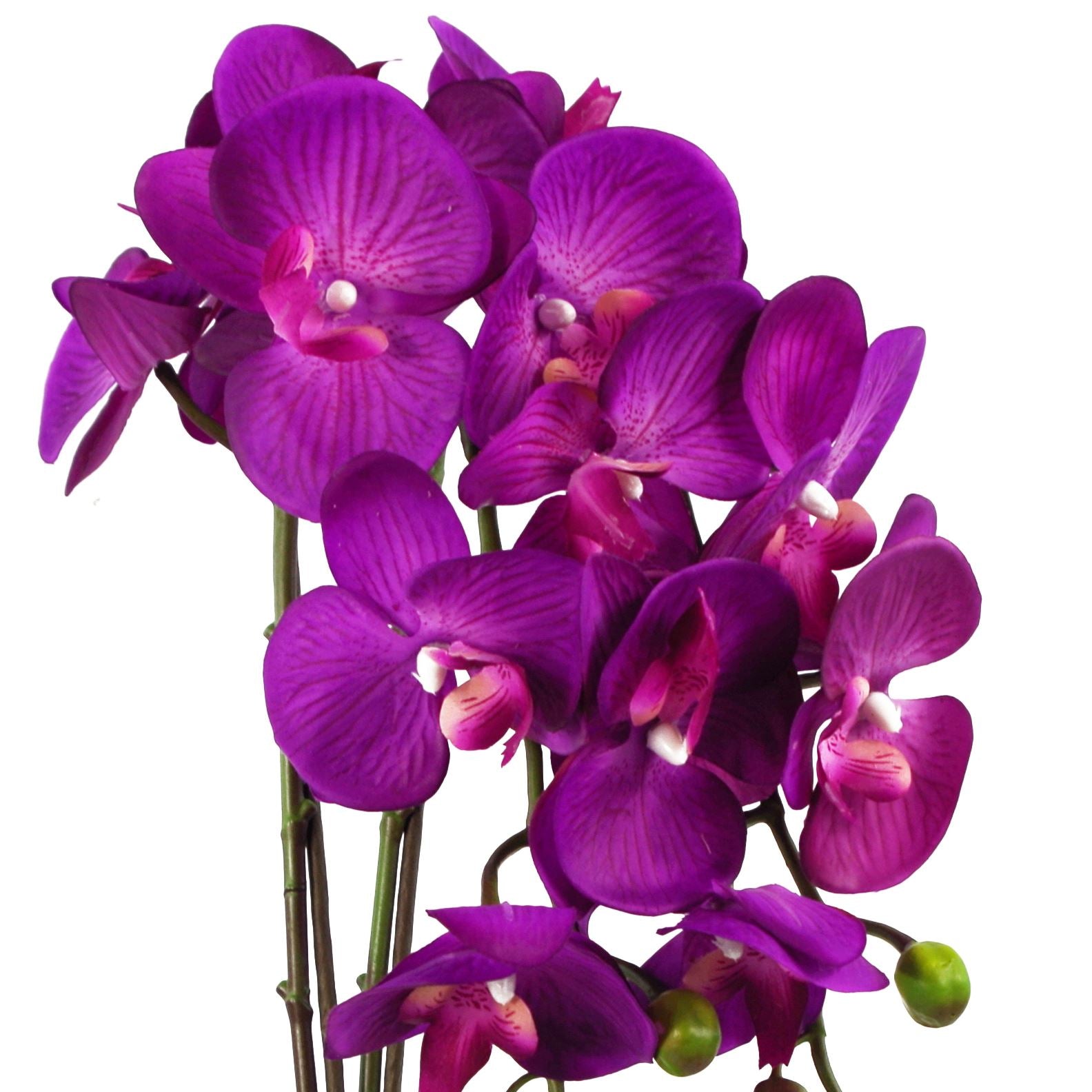 Artificial Orchid Large Purple Gold 52cm-1