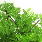 Artificial Fern Plant 30cm Botanical Fern 30cm Display-1
