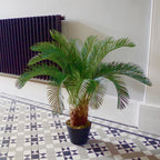 Palm Tree Artificial Cycas 80cm-1