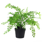 Artificial Fern Plant Pot Maidenhair Fern 35cm Leaf Design UK Realistic Plant Botanik-0