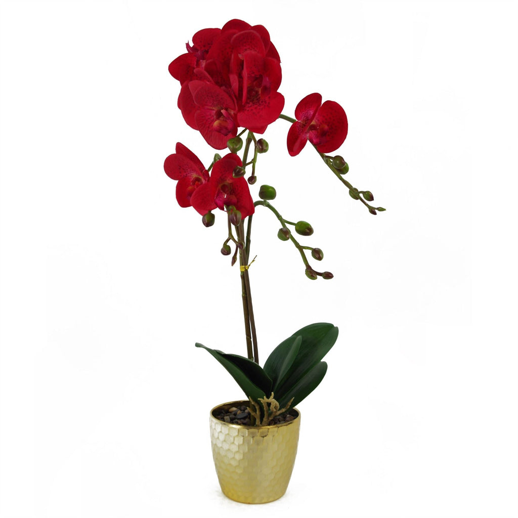 Orchid Artificial Red Leopard Gold Pot 50cm Phalaenopsis-0