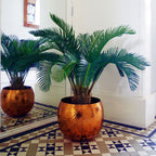 Palm Tree Artificial Cycas 80cm-0