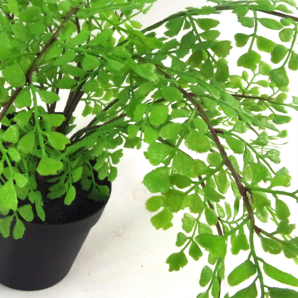 Artificial Fern Plant Pot Maidenhair Fern 35cm Leaf Design UK Realistic Plant Botanik-1