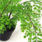 Artificial Fern Plant Pot Maidenhair Fern 35cm Leaf Design UK Realistic Plant Botanik-1