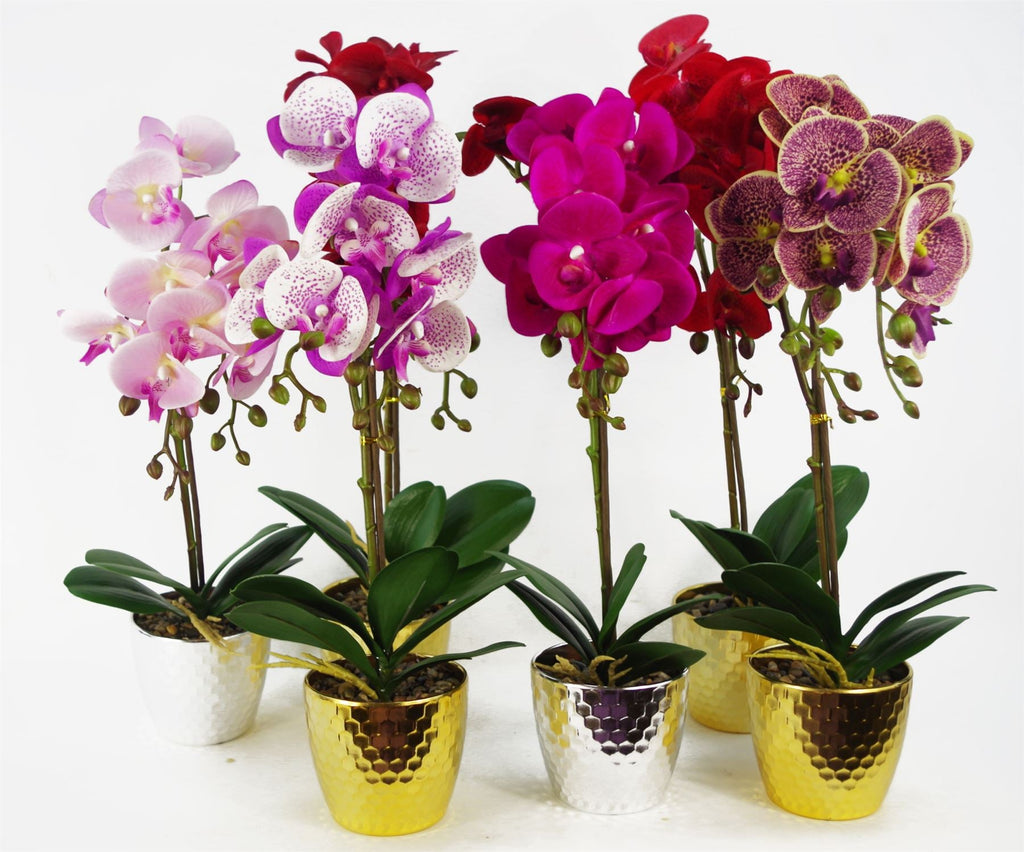 Orchid Artificial Red Leopard Gold Pot 50cm Phalaenopsis-2