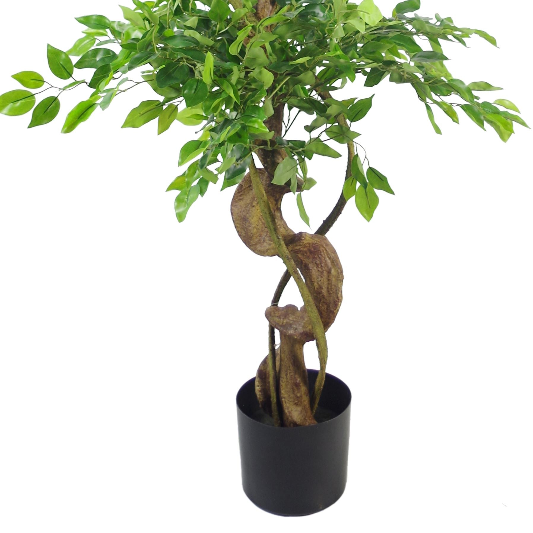 Artificial Japanese Fruticosa Tree Twisted Ficus 150cm UK-2