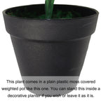 Artificial Foliage Plant Pot 45cm Dark Taro Plants-4