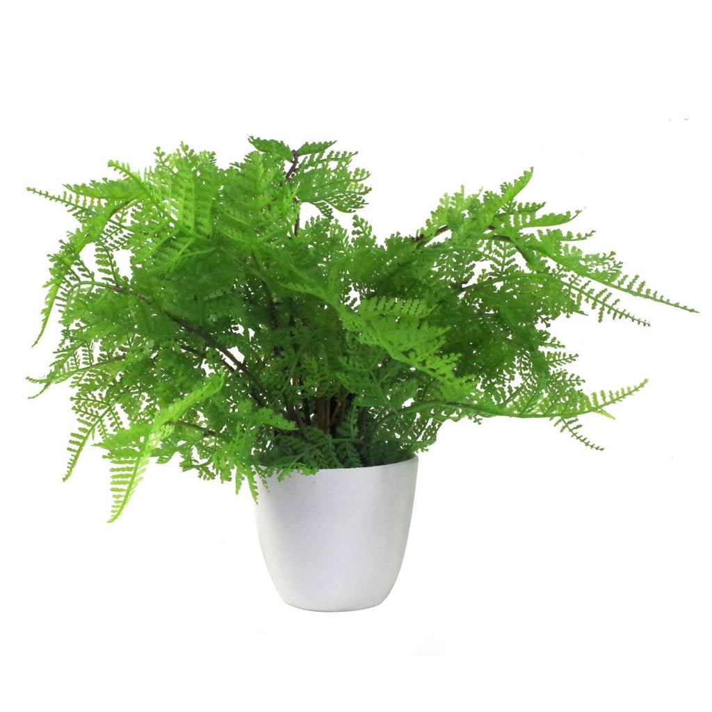 Artificial Fern Plant 30cm Botanical Fern 30cm Display-0