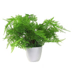 Artificial Fern Plant 30cm Botanical Fern 30cm Display-0