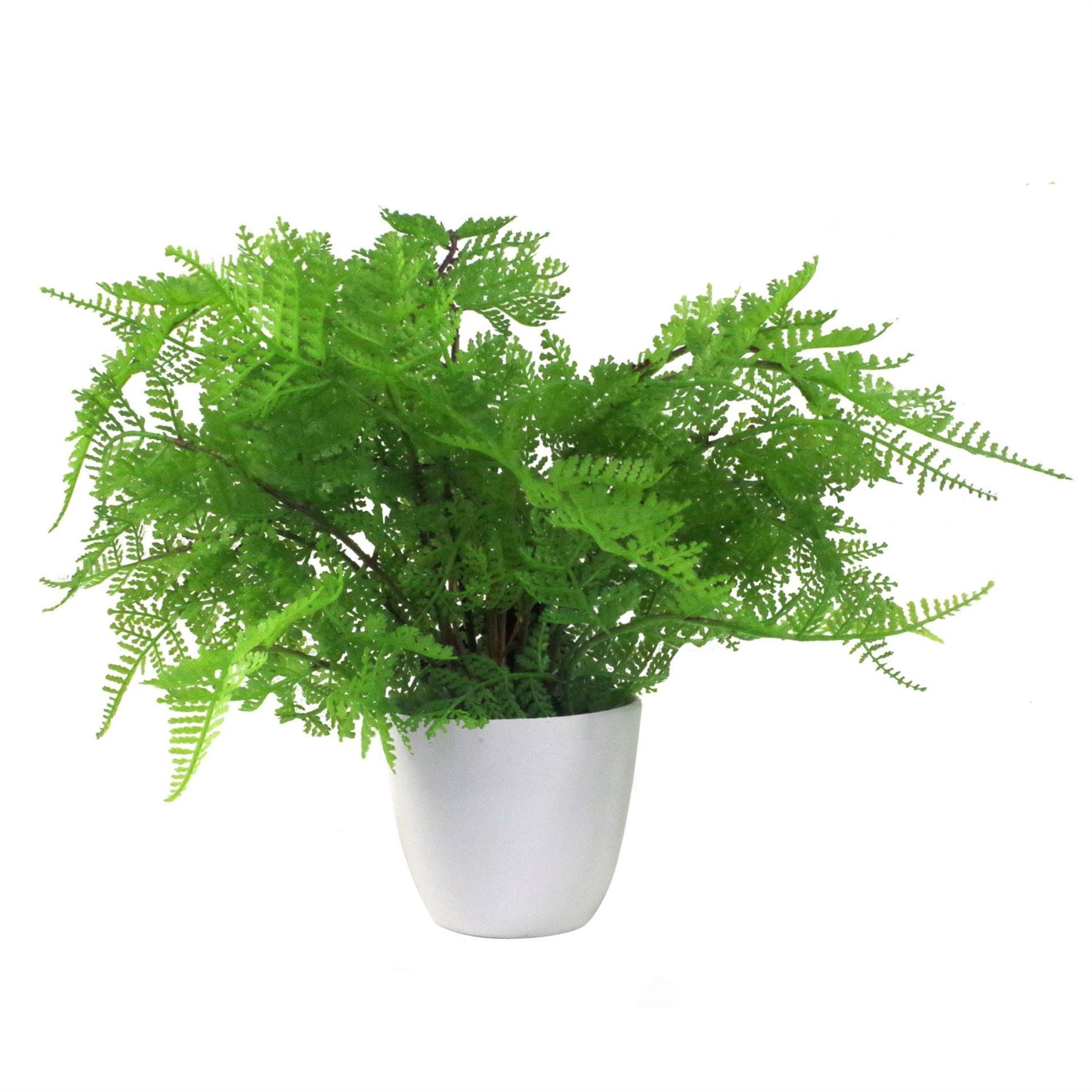 Artificial Fern Plant 30cm Botanical Fern 30cm Display-0
