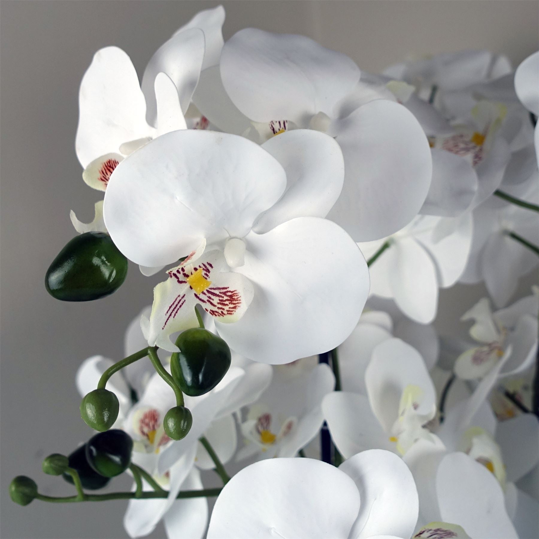 Orchid White - Gold Ceramic Planter-3