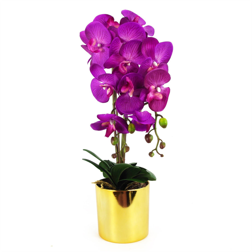 Artificial Orchid Large Purple Gold 52cm-0