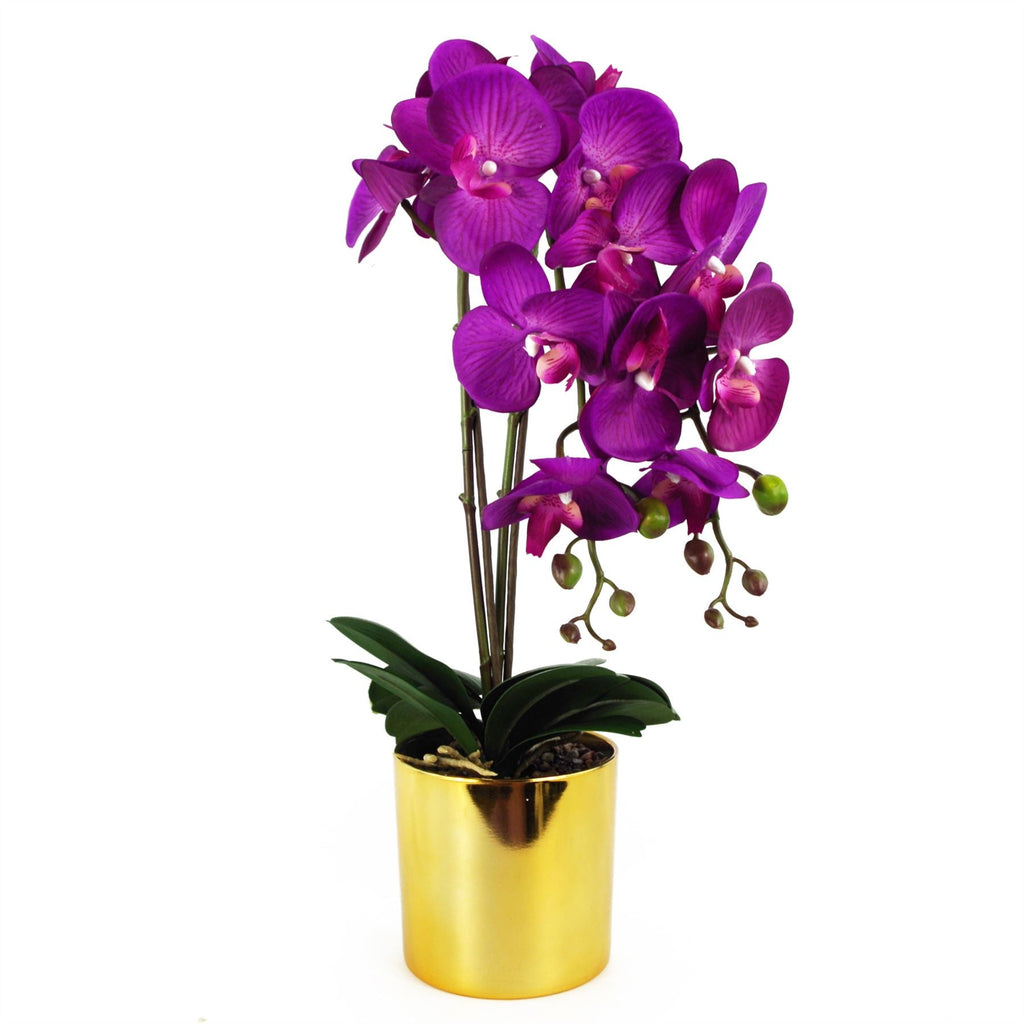 Artificial Orchid Large Purple Gold 52cm-2