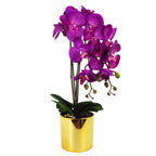 Artificial Orchid Large Purple Gold 52cm-2
