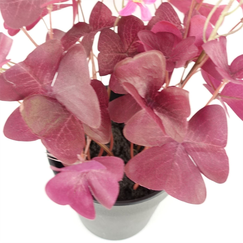 Artificial Plant Purple Shamrock Pink Flowers-1