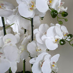 Orchid White - Gold Ceramic Planter-2