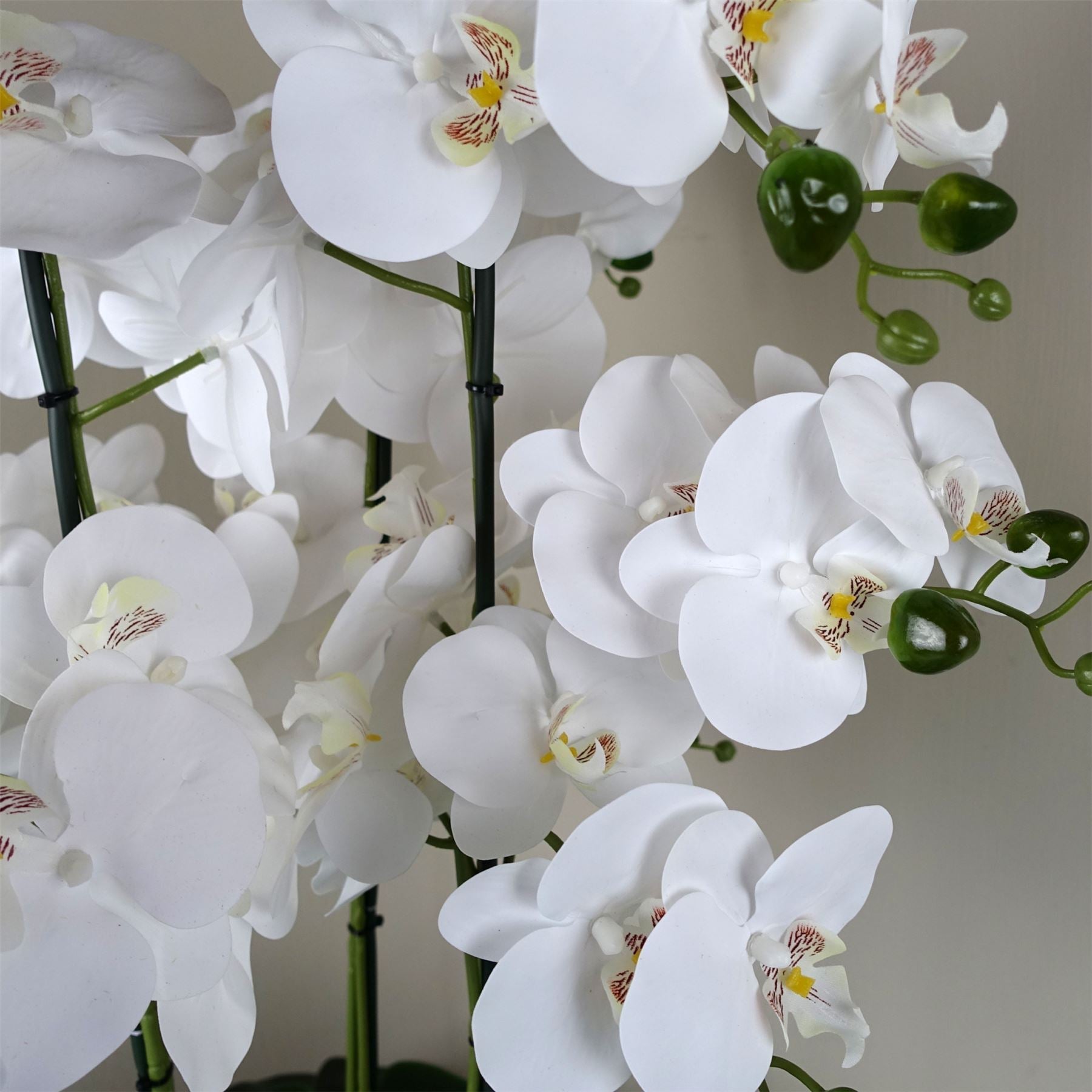 Orchid White - Gold Ceramic Planter-2