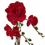 Orchid Artificial Red Leopard Gold Pot 50cm Phalaenopsis-1