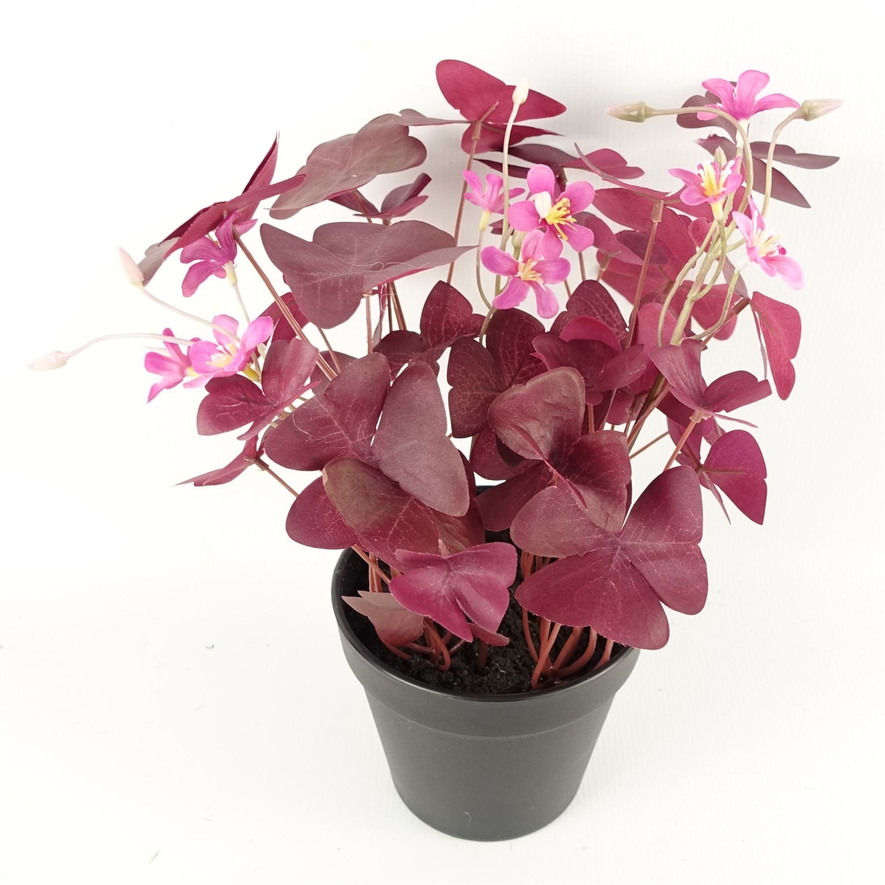 Artificial Plant Purple Shamrock Pink Flowers-2