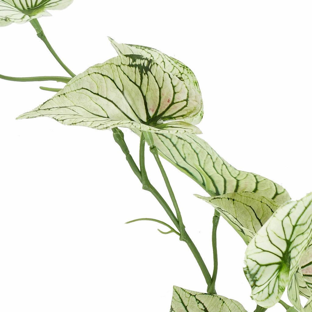 30cm Artificial Trailing Plant Variegated Alocasia-3