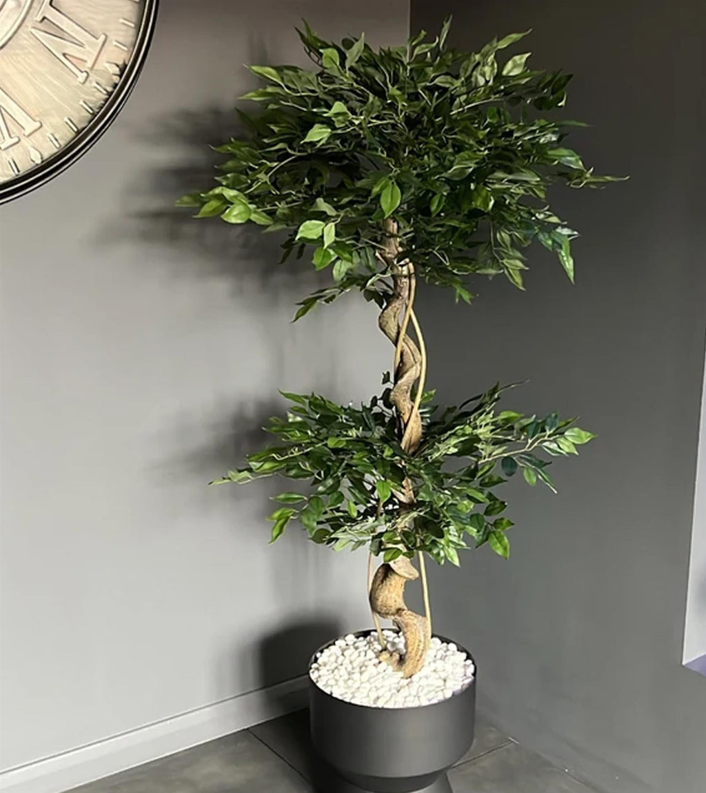 Artificial Japanese Fruticosa Tree Twisted Ficus 150cm UK-0