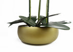 Orchid White - Gold Ceramic Planter-4